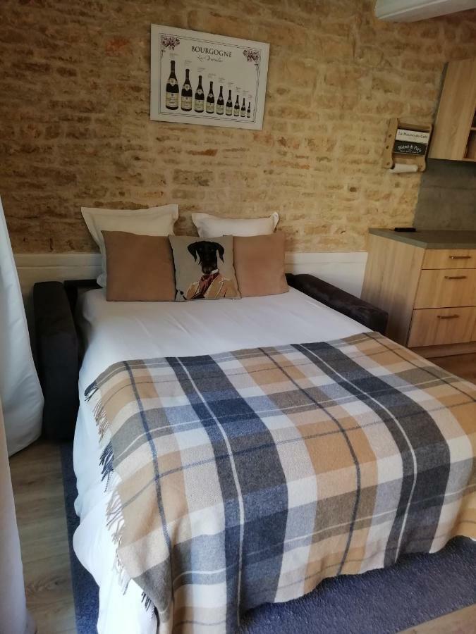 Le Petit Faubourg Apartment Beaune  Luaran gambar